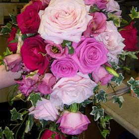 fwthumb002 (2).jpg